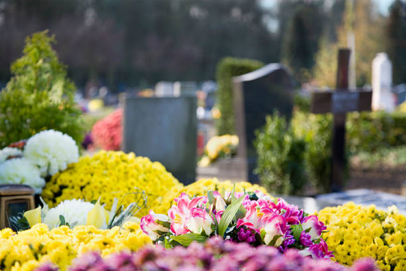 Cemitério Alto Padrão Parque Contato Bom Sucesso - Cemitério Privado Alto Padrão