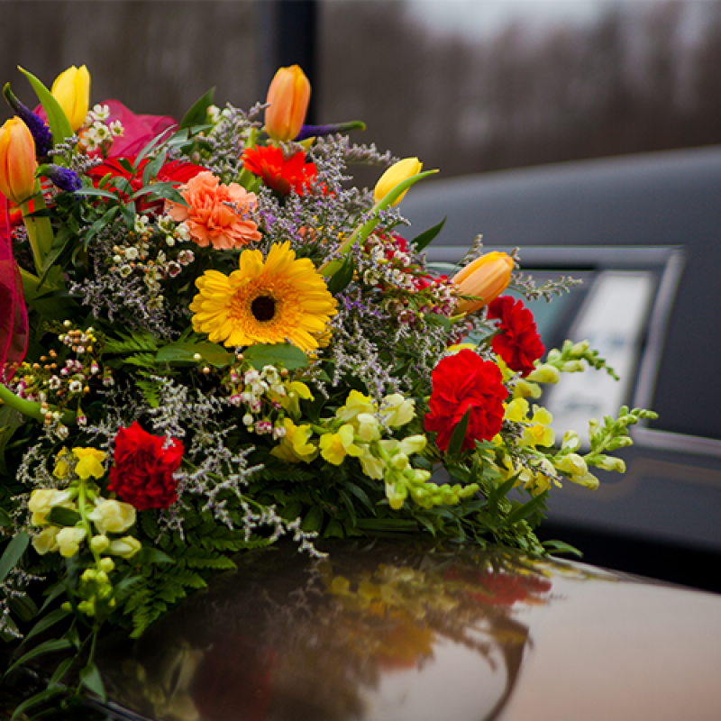 Plano de Assistência Funeral Familiar São Gonçalo do Amarante - Planos Funerários Familiar